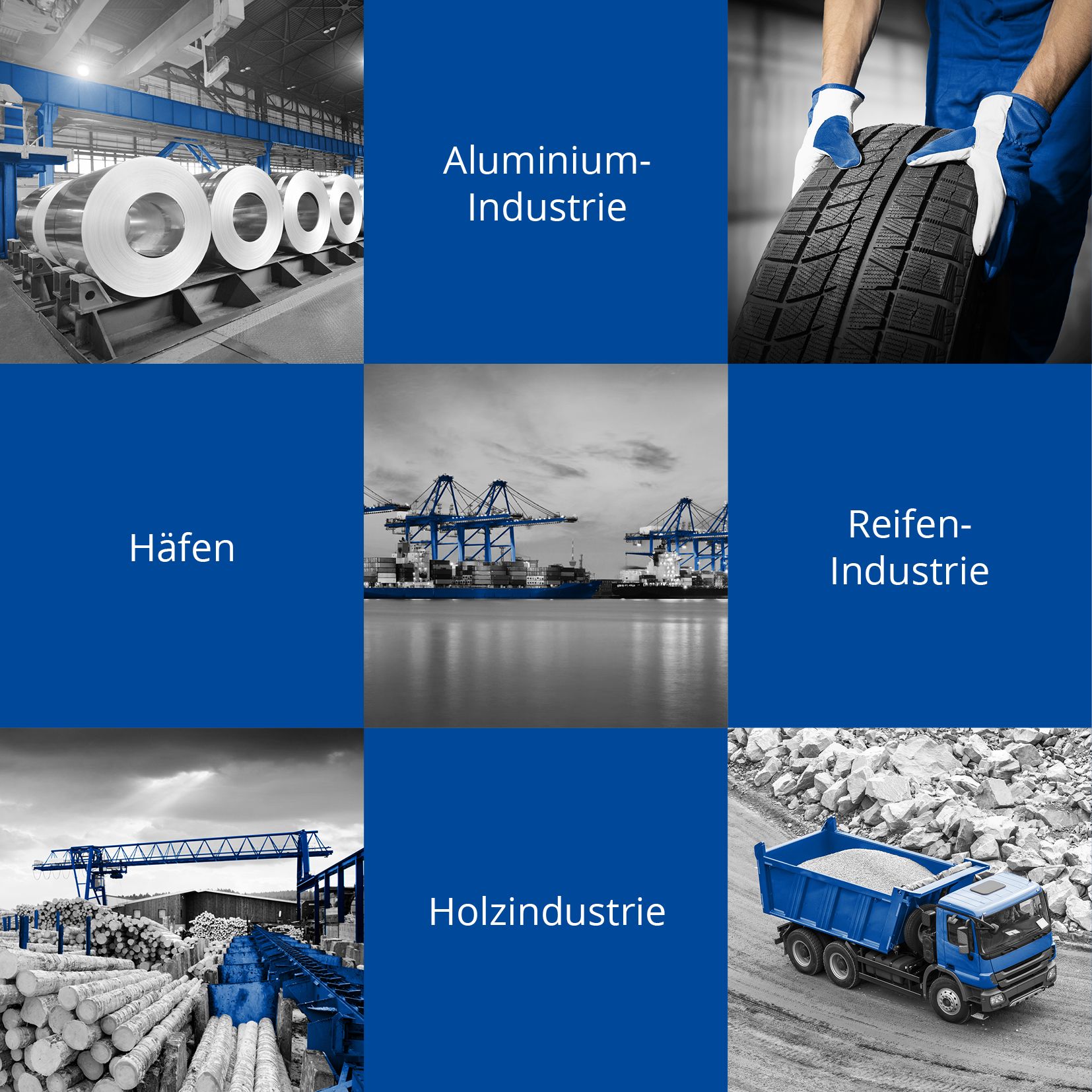 Referenzen Butterfly & Bee Freiburg elexis